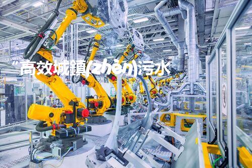“高效城鎮(zhèn)污水處理流程，守護(hù)碧水藍(lán)天新篇章”